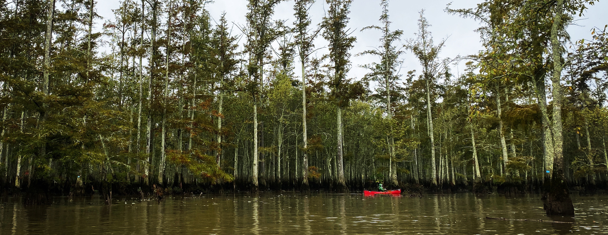 First Saturday Paddle Rossville to Piperton— March 2026